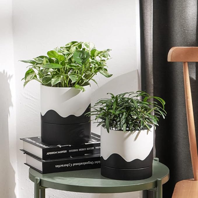 Nihow Self Watering Plant Pot: 6 Inch Ceramic Planter with Drainage Hole & Water Storage Plus for Indoor & Outdoor Plants - Cylinder Round Flower Pot for Succulent/Herbs/Violets - White & Wave Black-Ruum Studio Home