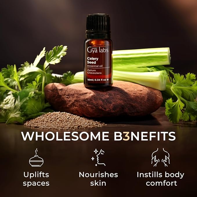 Gya Labs Celery Seed Essential Oil for Diffuser - 0.34 Fl Oz - 100% Pure Natural Celery Seed Oil for Skin & Face, Massage, Candle Making Scent-Ruum Studio Home