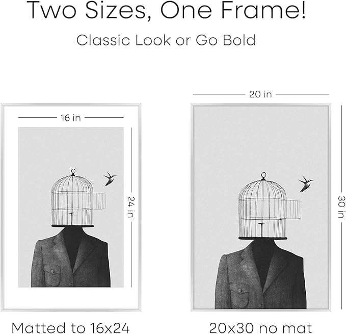 Homeforia Poster Frame Silver 20x30, High End Metal 20 x 30 Picture Frame with Mat 16 x 24 for Photo, 20x30 Silver Frames Matted to 16x24 Print, 30x20 Hanging Frame, Tempered Glass, Wall Kit, Set of 1-Ruum Studio Home