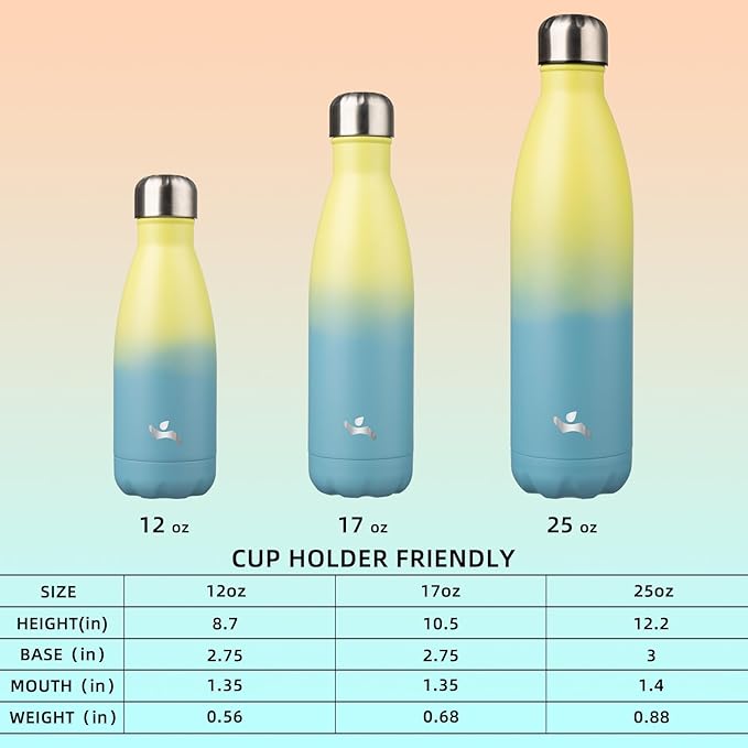 Insulated Water Bottles,17 oz Double Wall Stainless Steel Vacumm Metal Flask for Sports Travel,Sandy Beach-Ruum Studio Home