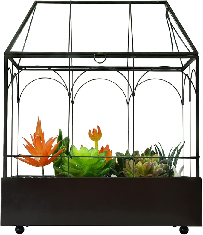 Large Tall Glass Plant Terrarium – House Succulent Terrarium Kit with Lip and Tray Glass Greenhouse Terrarium for Plant 9.5”X5.7”X11.4”-Ruum Studio Home