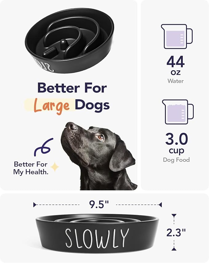 Slow Feeder Dog Bowl - Ceramic 3 Cup Puzzle Maze for Medium & Large Breeds, Puppies & Fast Eaters, Pet Food Dish Black-Ruum Studio Home