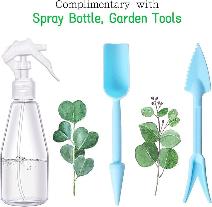 Large Glass Terrarium Handmade, Centerpiece Display Box Gift Planter Containers Indoor Terrariums House for Succulent Cacti Air Plants Miniature Fairy Garden-Ruum Studio Home