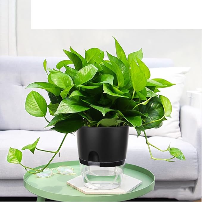 Vanavazon 6 Inch Self Watering Planter Pots for Indoor Plants, 3 Pack African Violet Pots with Wick Rope-Black-Ruum Studio Home