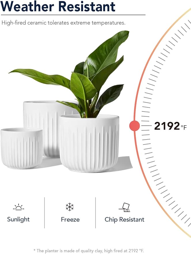 LE TAUCI Fluted Ceramic Planters Set of 3 – 8.3/7 / 5.7 in White Cylinder Indoor Plant Pots with Drainage Plug & Mesh, Matte Glazed Stoneware Flower Pots for Succulent Herb Cactus-Ruum Studio Home
