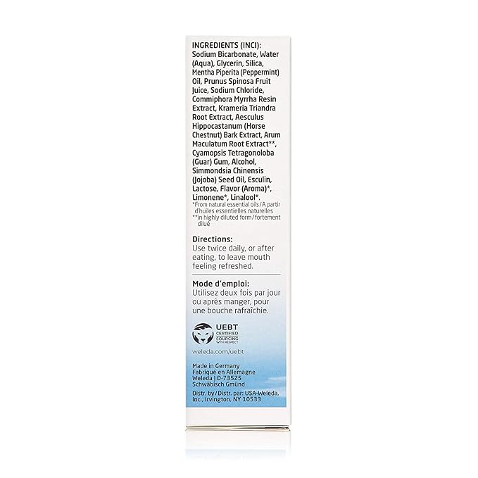 Weleda Natural Salt Toothpaste. 2.5 Fluid Ounce (Pack of 3)-Ruum Studio Home