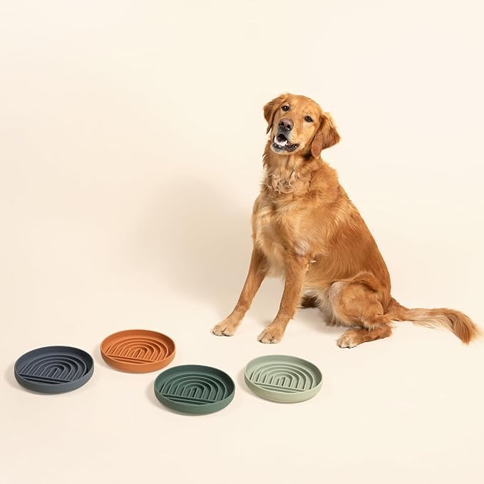 The Slowdown Bowl Silicone Slow Feeder for Dogs & Puppies, Slow Eating, Modern Lick Mat Design, Reduces Gulping, Fits 2.5 Cups 9.5” Across x 1.5” Tall, Mealtime Challenge, Large-Blush-Ruum Studio Home