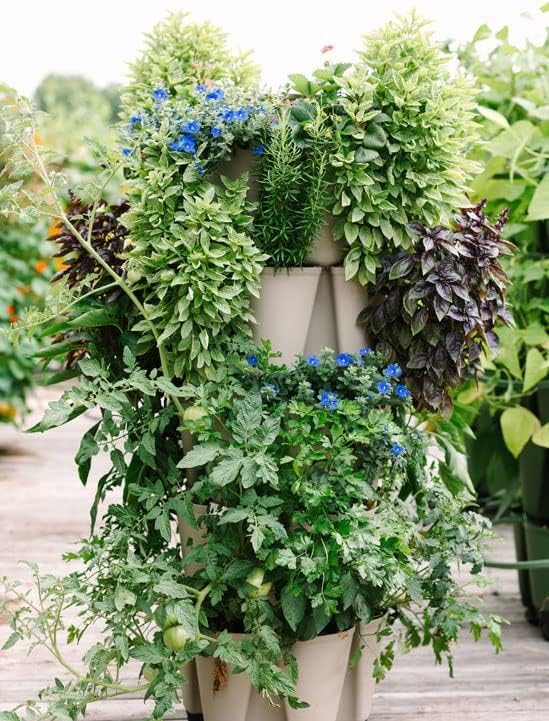 Greenstalk Patented Large 5 Tier Vertical Garden Planter with Patented Internal Watering System Great for Growing a Variety of Strawberries, Vegetables, Herbs, & Flowers (Stunning Stone)-Ruum Studio Home