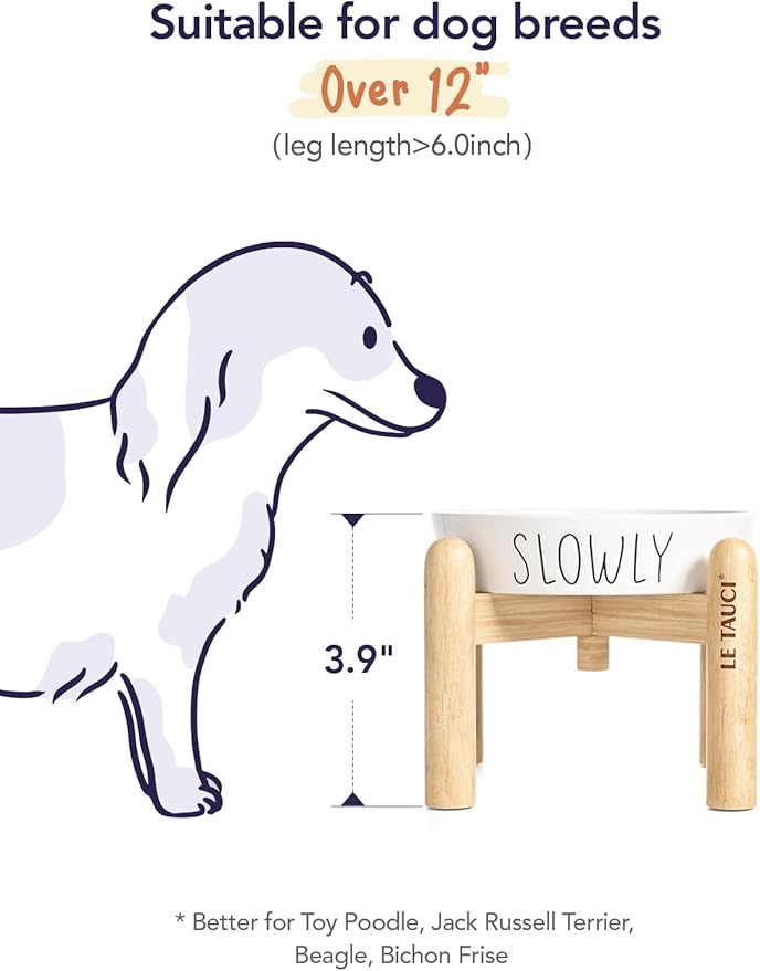 Ceramic Elevated Slow Feeder Dog Bowl - 0.6 Cup Puzzle Feeder with Wooden Stand for Small Breeds, White Pet Dish-Ruum Studio Home