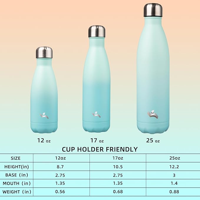 Insulated Water Bottles,12 oz Double Wall Stainless Steel Vacumm Metal Flask for Sports Travel,Mint-Ruum Studio Home