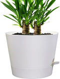 Self Watering Pots for Indoor Plants,12 inch Planters with Drainage Holes Plastic Flower Pots with Deep Reservoir, White-Ruum Studio Home