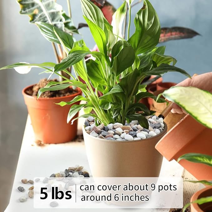 5LBS Succulent and Cactus Gravel Pebbles, 1/5 Inch Natural Decorative Polished Stones, River Rocks for Vases, Aquariums, Terrarium and Outdoor Gardening, Mixed Color-Ruum Studio Home