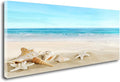 DZL Art S73975 Beach Picture Decor Ocean Painting Canvas Wall Art Prints of Starfish and Seashell on Sandy Seaside Ready to Hang for Living Room Bedroom Office Wall Decor Home Decoration-Ruum Studio Home