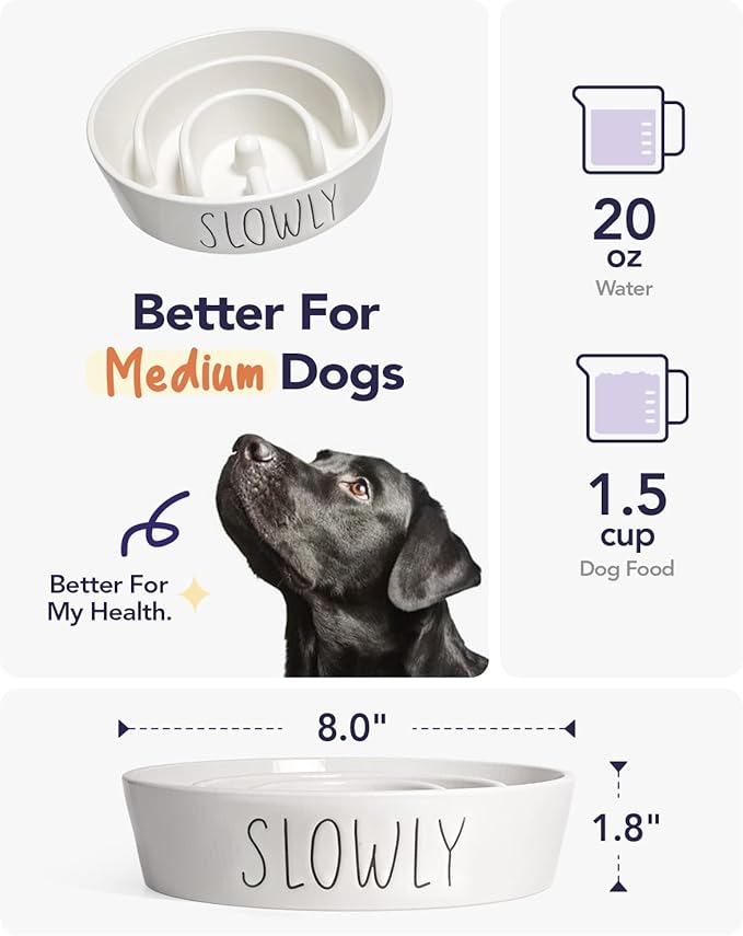 Slow Feeder Dog Bowl - 1.5 Cups Ceramic Puzzle Feeder for Small & Medium Breeds, Maze Design Bowl for Puppy & Fast Eaters, White Pet Dish to Control Eating Speed-Ruum Studio Home