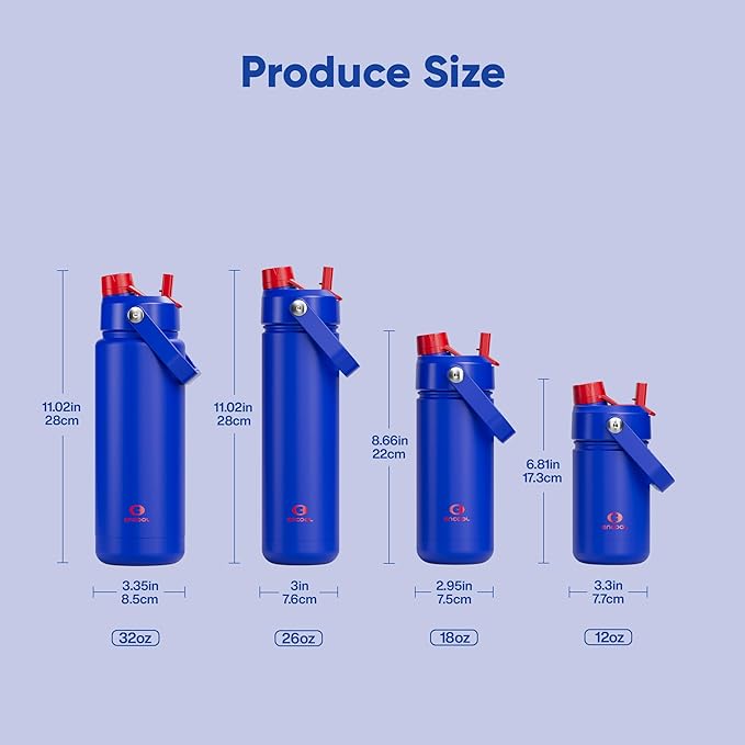 Insulated Water Bottle with Straw Stainless Steel Water Bottle, Leak-Proof, BPA-Free, Double Wall Vacuum Keeps Cold for 24 Hours for Sports, Travel, School (32 oz, Beaucoup Blue)-Ruum Studio Home