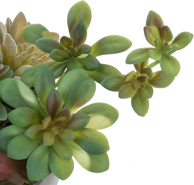 MyGift Assorted Indoor Fake Plants Artificial Succulent Arrangement in Round Gray Cement Planter Pot-Ruum Studio Home
