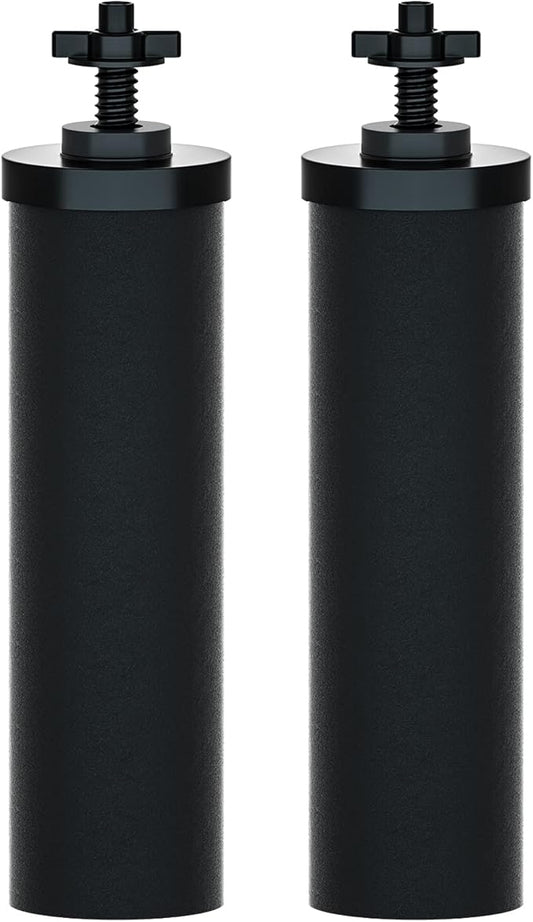 Purewell PF-2 Black 2-Stage Purification Elements, Replacement Filters for ProOne® and Berkey® Filters, ProOne® Big+ or Berkey® Big+ Gravity Water Filter System and Purewell System (2 Pack, K Series)-Ruum Studio Home