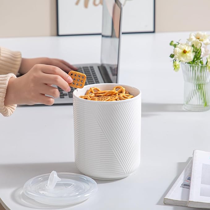 Food Storage Containers with Airtight Lids: Ceramic Canister Sets for Kitchen Countertop - Porcelain Jar for Coffee Tea Flour Sugar Rice Cookies Candy - White (42 oz)-Ruum Studio Home