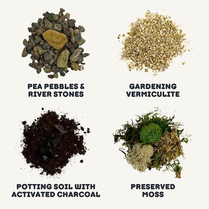 Cute Farms Terrarium Starter Kit | Moss, Vermiculite, Soil, Pebbles, Plant Food, Finishing Tools, Build and Care Guide | DIY Succulent Terrarium for Adults and Kids (Medium)-Ruum Studio Home