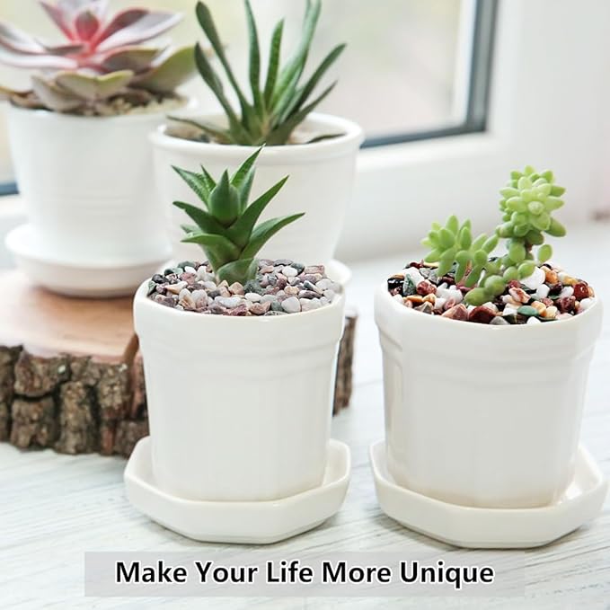 5LB Succulent and Cactus Gravel Pebbles, 1/5 Inch Natural Decorative Polished Stones, River Rocks for Vases Gardening Indoor and Outdoor Decorative Rocks, Colorful-Ruum Studio Home