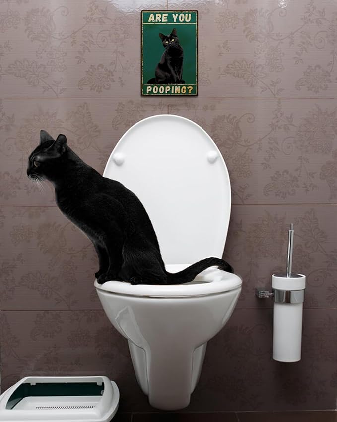 ALKB Funny Black Cat Sign Are You Pooping Metal Signs Black Cat Gift Vintage Bathroom Wall Decor 8 x 12 Inch-Ruum Studio Home