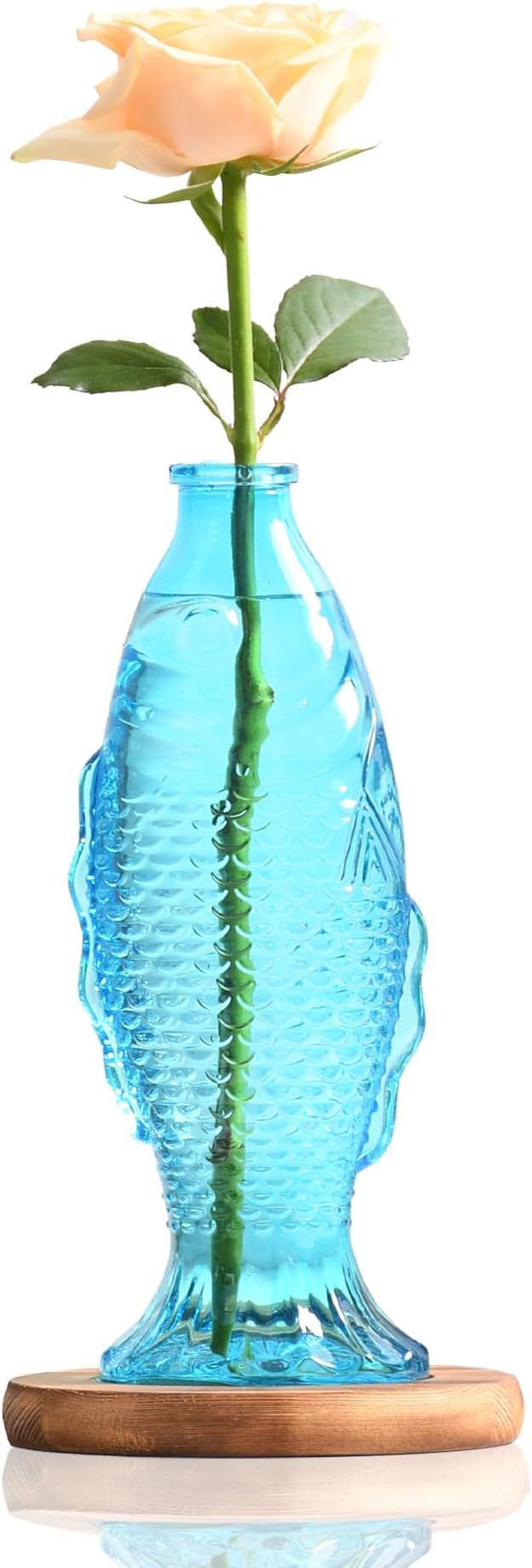 Nacome Fish Vase Glass Plant Terrarium with Wooden Stand,Planter Propagation Station for Home Office Hydroponics Desk Decoration,Unique Gardening Gifts for Plant Lovers Women Mom(Blue)-Ruum Studio Home