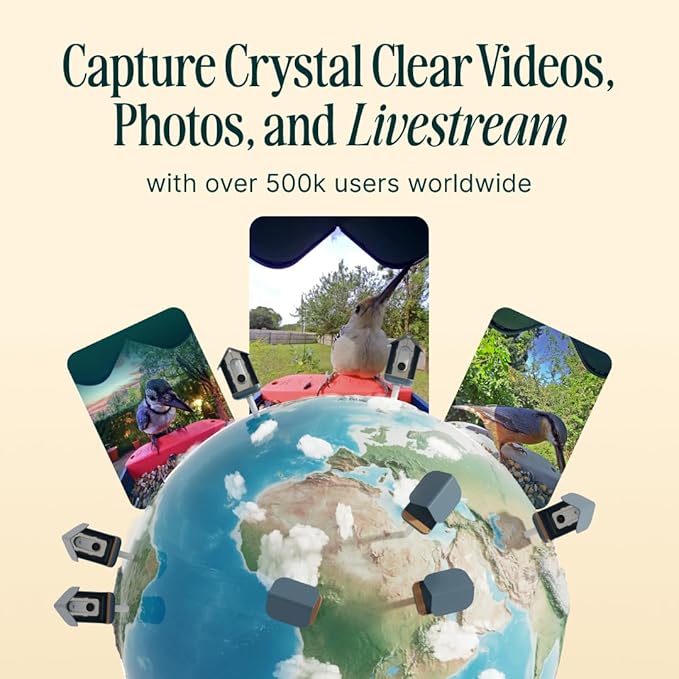 Birdbuddy PRO Solar Smart Bird Feeder with Camera - AI Bird Species Identification, 5MP Photos, 2K HD Video Live Stream Camera, Slow-Motion Video, 2.6in Focus - Blue Solar-Ruum Studio Home