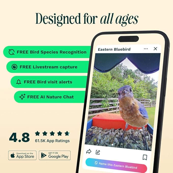 Birdbuddy PRO Solar Smart Bird Feeder with Camera - AI Bird Species Identification, 5MP Photos, 2K HD Video Live Stream Camera, Slow-Motion Video, 2.6in Focus - Blue Solar-Ruum Studio Home