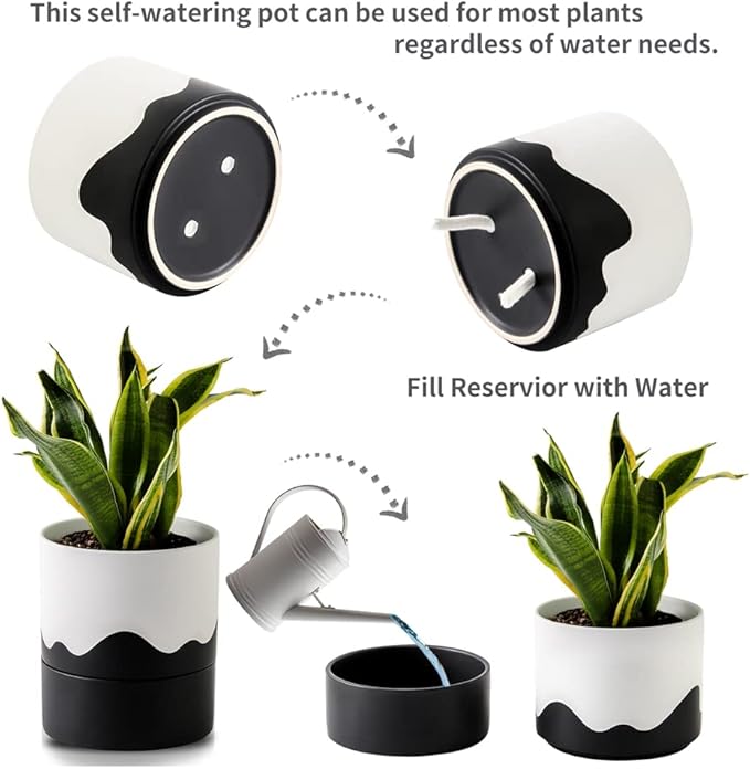 Nihow Self Watering Plant Pot: 6 Inch Ceramic Planter with Drainage Hole & Water Storage Plus for Indoor & Outdoor Plants - Cylinder Round Flower Pot for Succulent/Herbs/Violets - White & Wave Black-Ruum Studio Home
