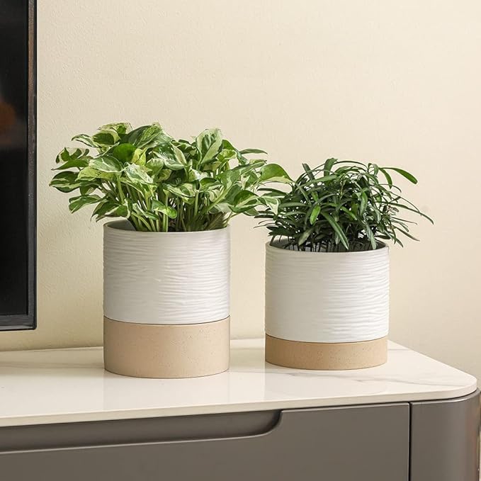 Nihow Ceramic Plant Pot: 6 Inch Planter with Drainage Hole & Saucer for Indoor & Outdoor Plants - Cylinder Round Flower Pot for Succulent/Herbs/Violets - White & Brown-Ruum Studio Home