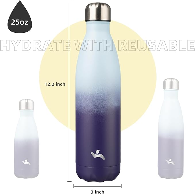 Insulated Water Bottles,25 oz Double Wall Stainless Steel Vacumm Metal Flask for Sports Travel,Ocean Dream-Ruum Studio Home