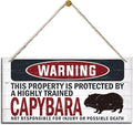 Warning Sign, Capybara Warning Wood Plaque Sign, Funny Door Signs, Decorative Wood Hanging Suspension Plaque, Farmhouse Wooden Wall Decor, Outdoor Hanging Wooden Signs-Ruum Studio Home