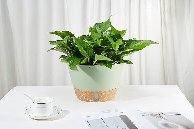 2 Pack Hanging Planters, 10 inch Indoor Outdoor Hanging Plant Pot Basket, Hanging Plastic Flower Pot with Drainage Hole with Removable Tray&Hooks for Hanging Plants,Green-Ruum Studio Home