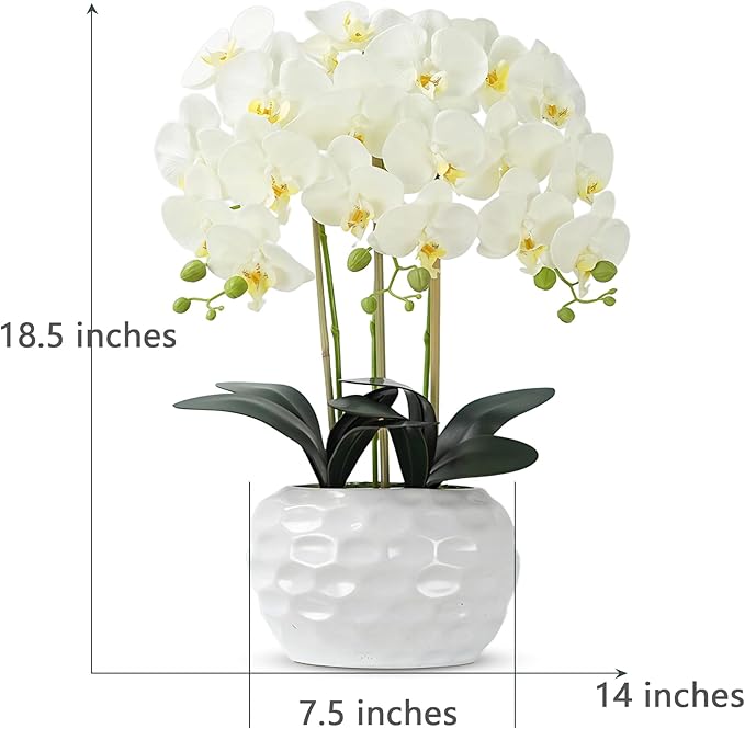 Orchid Artificial Flowers with White Vase Large Silk Faux Phalaenopsis Flowers for Dining Room Table Floral Centerpieces Indoor Decoration,White-Ruum Studio Home
