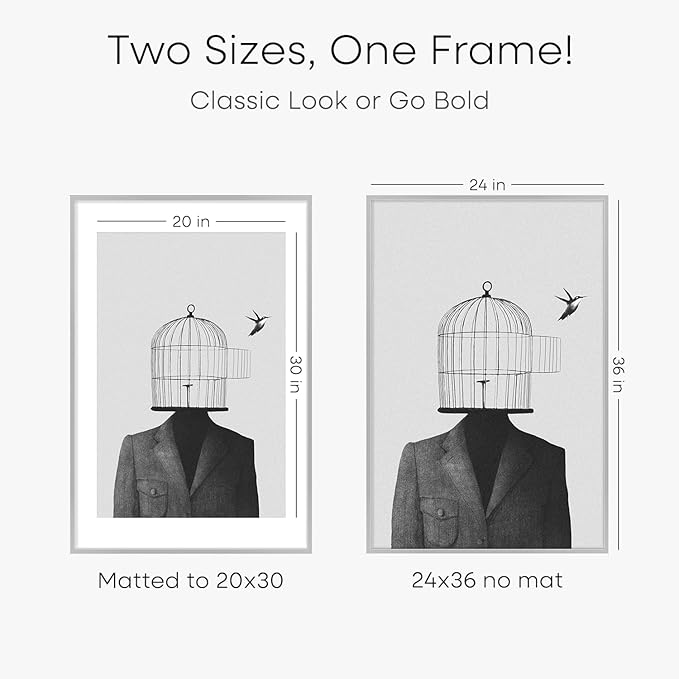 Homeforia Poster Silver Frame 24x36, High End Metal 24 x 36 Large Picture Frame with Mat 20 x 30 Photo, 24x36 Silver Frames Matted to 20x30 Print, 36x24 Thin Frames, Tempered Glass, Wall Kit, Set of 1-Ruum Studio Home