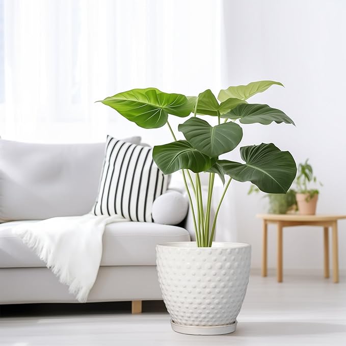 G EPGardening 8 Inch Plant Pot for Indoor Outdoor Plants Round Ceramic Planter Pot with Drainage Hole and Saucer Modern Large Flower Pot White-Ruum Studio Home