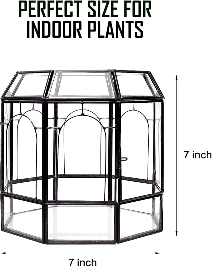 Large Glass Terrarium Handmade, Centerpiece Display Box Gift Planter Containers Indoor Terrariums House for Succulent Cacti Air Plants Miniature Fairy Garden-Ruum Studio Home