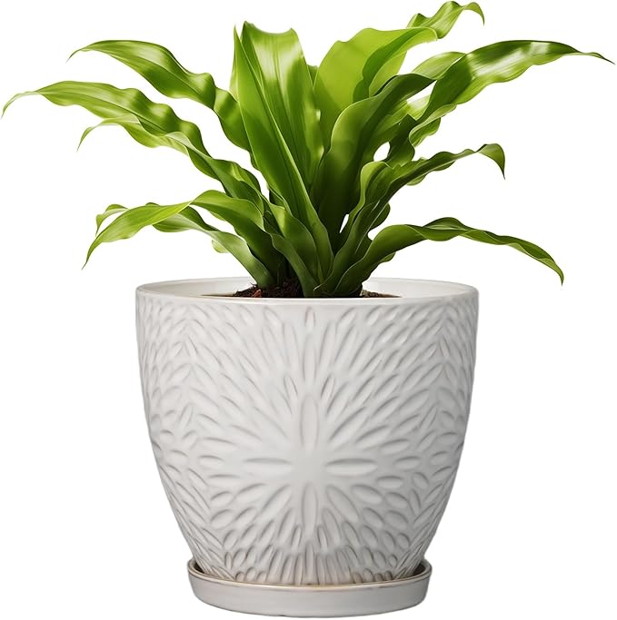 G EPGardening 8 Inch Ceramic Plant Pot with Drainage Hole and Saucer Round Planter Pot for Indoor Outdoor Plants Modern Large Flower Pot White-Ruum Studio Home