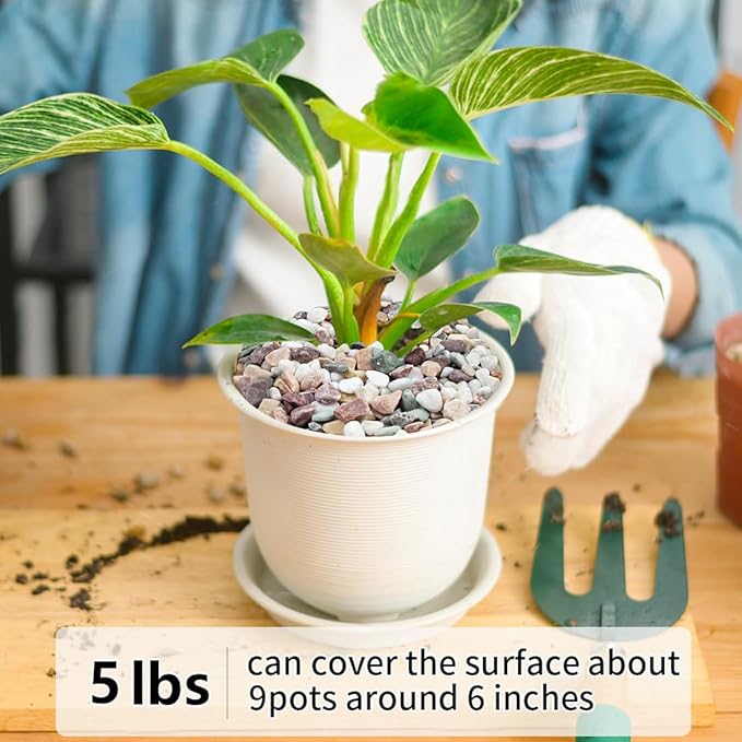 5LB Succulent and Cactus Gravel Pebbles, 1/5 Inch Natural Decorative Polished Stones, River Rocks for Vases Gardening Indoor and Outdoor Decorative Rocks, Colorful-Ruum Studio Home