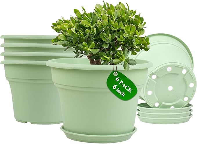 6 Inch Plastic-Flower Pot-for-Indoor Plants, 6 Pack Outdoor Plant Pots with Drainage Holes & Saucers, Resin Garden Pots Planters-Ruum Studio Home