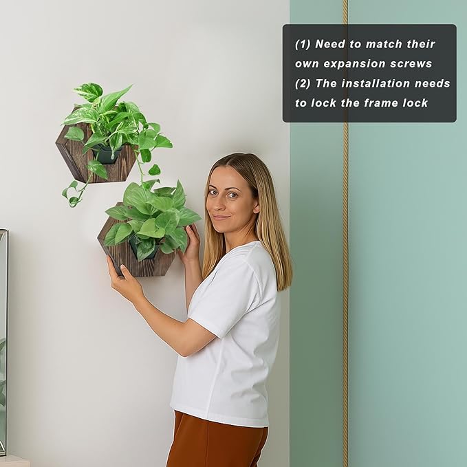 Hexagonal Wooden Wall Planter, Self Watering Living Vertical Planter Indoor, Wooden Frame Planter Wall Decoration Home Office,2pc Walnut-Ruum Studio Home