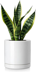 vancasso Ceramic Plant Pots, 6.25 Inch Ceramic Pot for Plants, Planters Pots for Indoor Plants with Drainage Holes, Flower Pot for Indoor House Plant, White-Ruum Studio Home