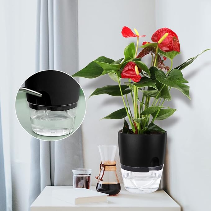 Vanavazon 6 Inch Self Watering Planter Pots for Indoor Plants, 3 Pack African Violet Pots with Wick Rope-Black-Ruum Studio Home