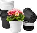 homenote Plant Pots,6 Inch Flower Pots for Plants Plastic Planters for Indoor with Multiple Drainage Holes and Trays, for All Home Garden Flowers Succulents,Outdoor(White&Black,16 Pack)-Ruum Studio Home