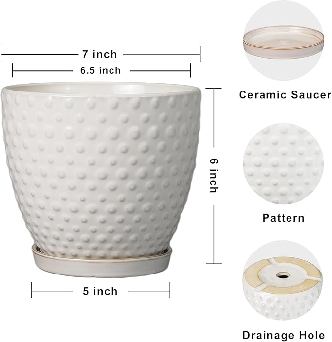 G EPGardening 6 Inch Ceramic Plant Pot with Drainage Hole and Saucer Round Planter Decorative Flower Plant Pot for Indoor Plants Outdoor White-Ruum Studio Home