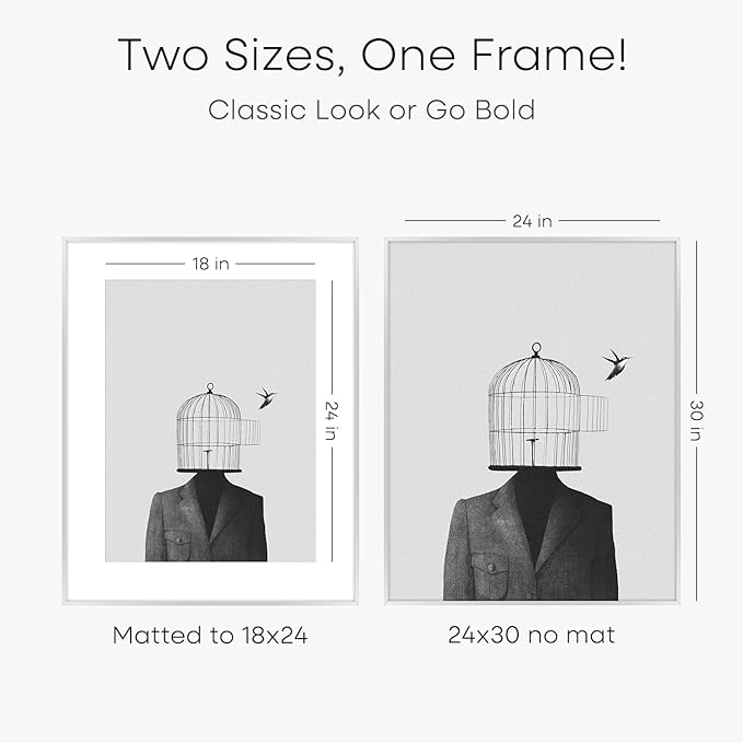 Homeforia Poster Silver Frame 24x30, High End Metal 24 x 30 Large Picture Frames with Mat 18 by 24 for Photo, 24x30 Silver Frames Matted to 18x24 Print, 30x24 Frame, Tempered Glass, Wall Kit, Set of 1-Ruum Studio Home
