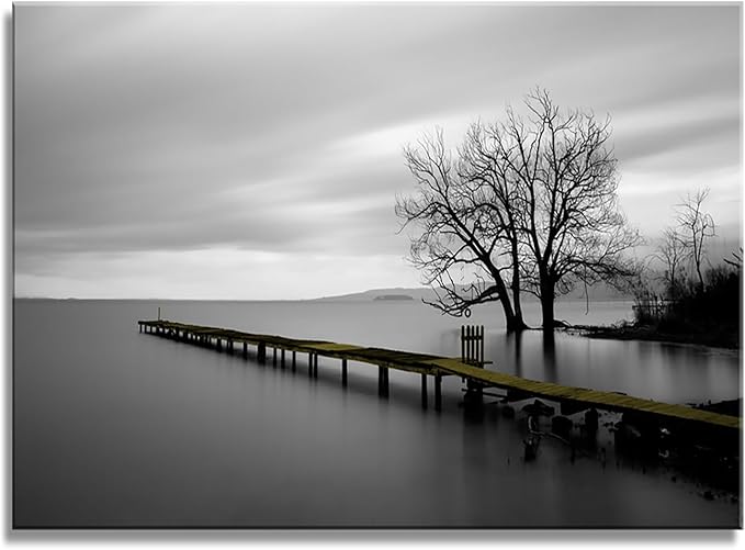 DZL Art S74981 Canvas Prints Modern Minimalist Black and White Lake Trees Landscape Wall Art Painting for Living Room Bedroom Decor Office Wall Decor Home Decoration-Ruum Studio Home