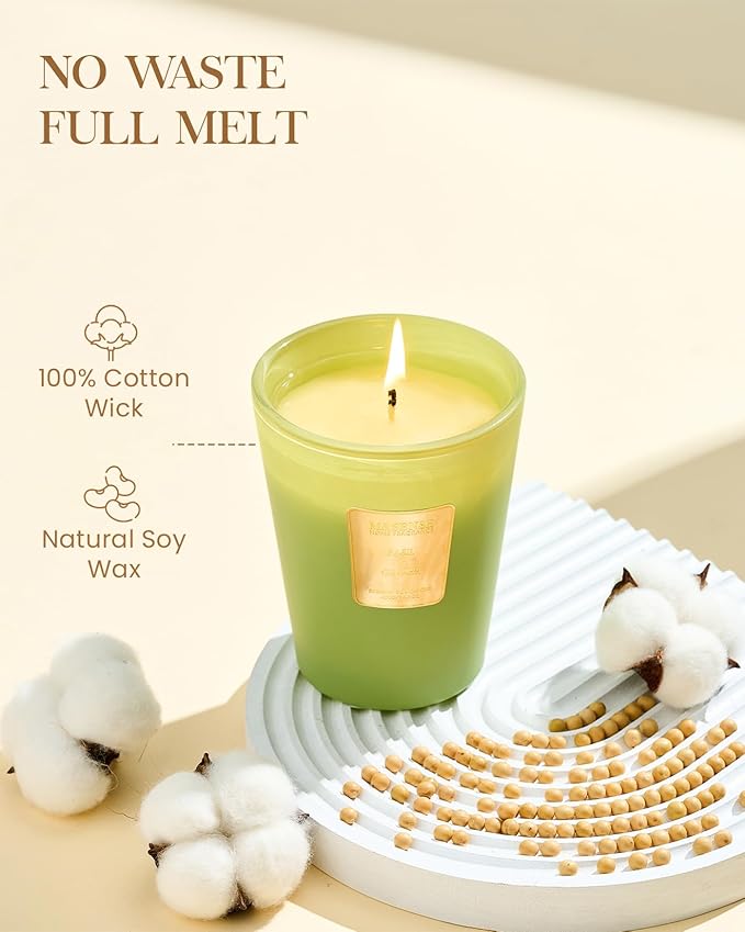 M&SENSE Basil Ginger Scented Natural Soy Wax Candle, 14.1oz 60 Hours Long Lasting Slow Burning Candles for Home Decor, Aromatherapy Candle for Stress Relief-Ruum Studio Home