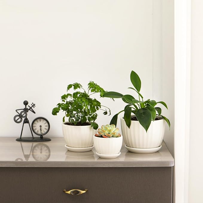 Ceramic Plant Pots with Drainage Holes and Saucers, Round White Flower Pots for Indoor Plant, Diameter 3.3/4.3/5.5 Inches Small Flower Planters Set of 3-Ruum Studio Home