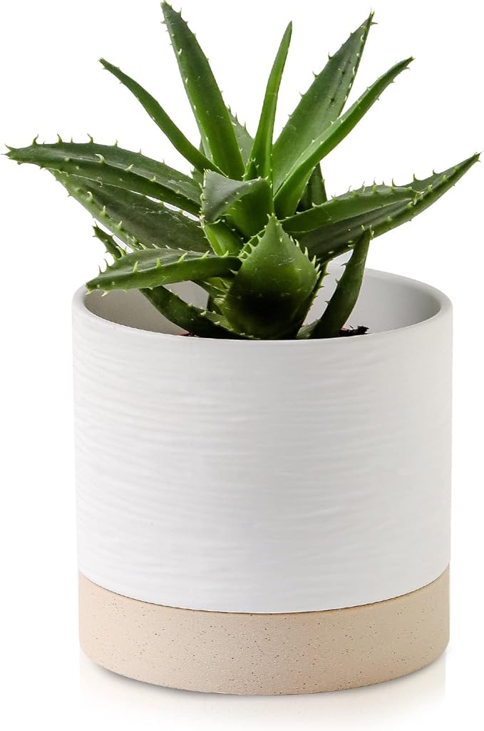 Nihow Ceramic Plant Pot: 6 Inch Planter with Drainage Hole & Saucer for Indoor & Outdoor Plants - Cylinder Round Flower Pot for Succulent/Herbs/Violets - White & Brown-Ruum Studio Home